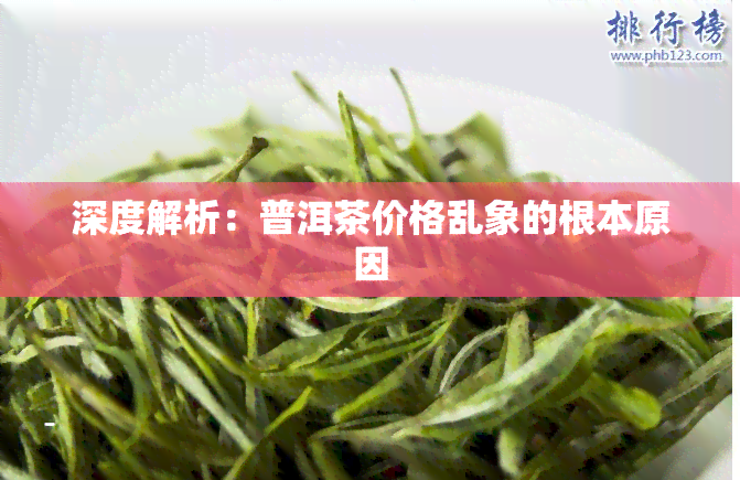 深度解析：普洱茶价格乱象的根本原因