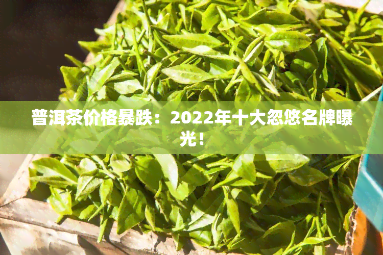 普洱茶价格暴跌：2022年十大忽悠名牌曝光！