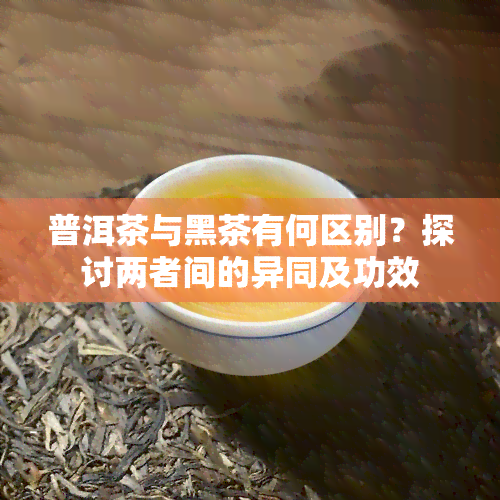 普洱茶与黑茶有何区别？探讨两者间的异同及功效