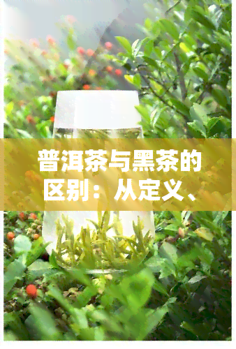 普洱茶与黑茶的区别：从定义、制作工艺到口感的全面比较