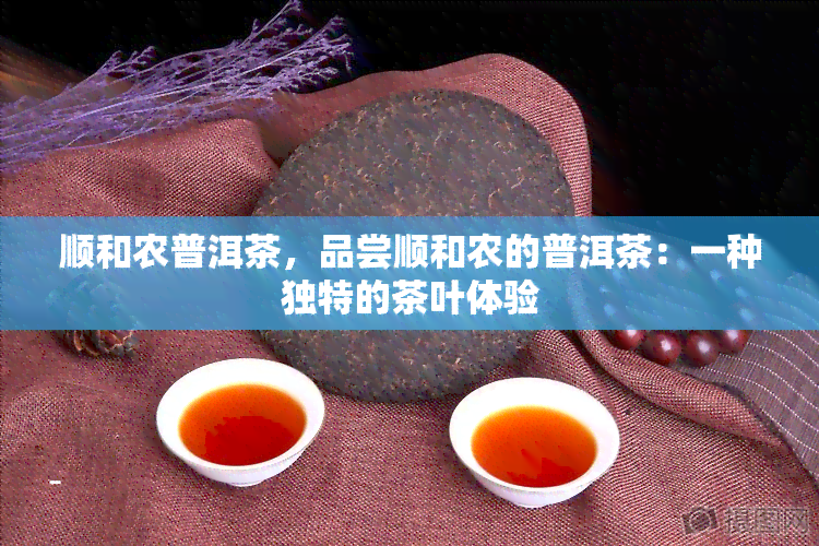 顺和农普洱茶，品尝顺和农的普洱茶：一种独特的茶叶体验