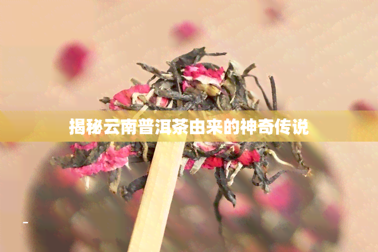 揭秘云南普洱茶由来的神奇传说