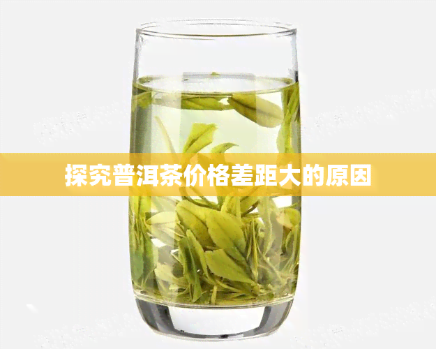 探究普洱茶价格差距大的原因