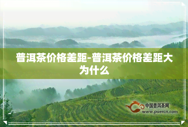 普洱茶价格差距-普洱茶价格差距大为什么