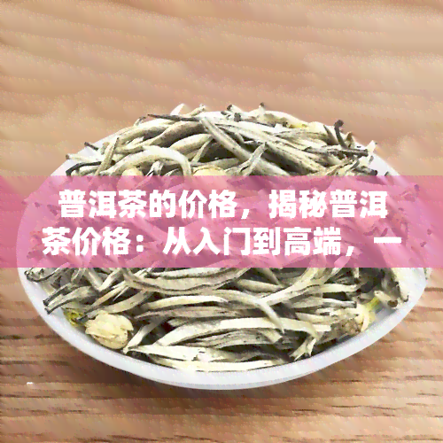 普洱茶的价格，揭秘普洱茶价格：从入门到高端，一文看懂差异