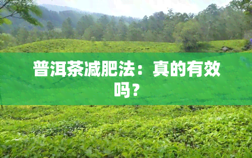 普洱茶减肥法：真的有效吗？