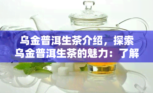 乌金普洱生茶介绍，探索乌金普洱生茶的魅力：了解这种独特的茶叶品种