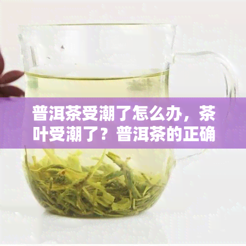 普洱茶受潮了怎么办，茶叶受潮了？普洱茶的正确处理方法