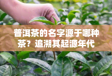 普洱茶的名字源于哪种茶？追溯其起源年代