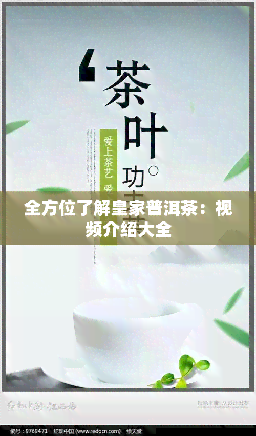 全方位了解皇家普洱茶：视频介绍大全