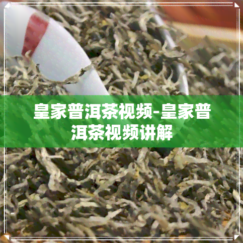 皇家普洱茶视频-皇家普洱茶视频讲解