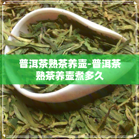 普洱茶熟茶养壶-普洱茶熟茶养壶煮多久