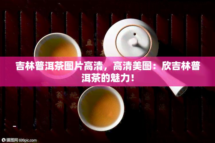 吉林普洱茶图片高清，高清美图：欣吉林普洱茶的魅力！