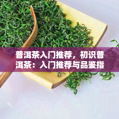 普洱茶入门推荐，初识普洱茶：入门推荐与品鉴指南