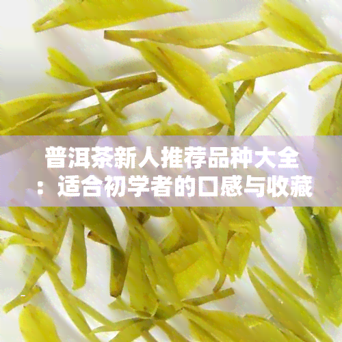 普洱茶新人推荐品种大全：适合初学者的口感与收藏选择