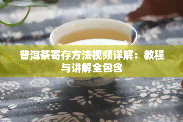 普洱茶寄存方法视频详解：教程与讲解全包含