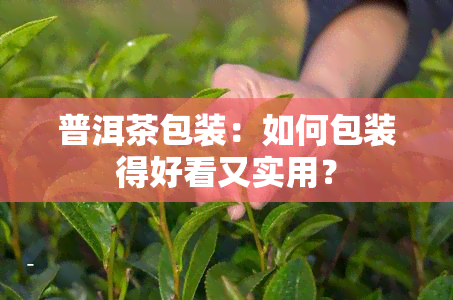 普洱茶包装：如何包装得好看又实用？