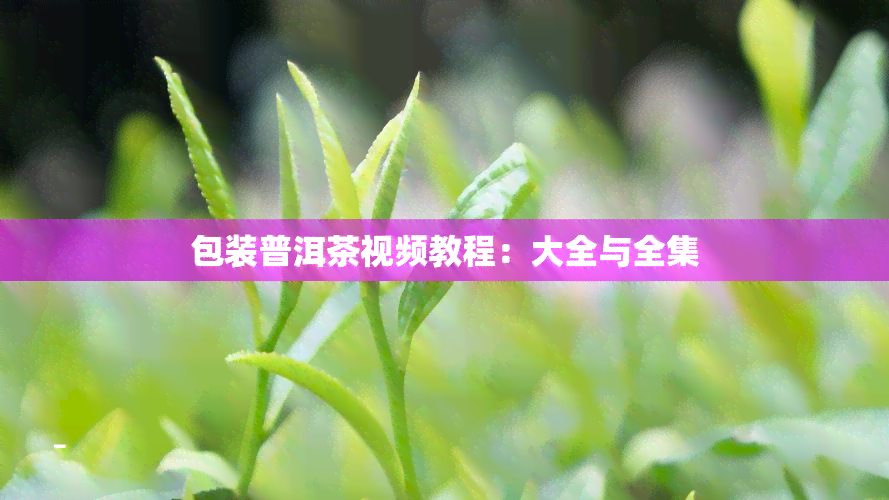 包装普洱茶视频教程：大全与全集