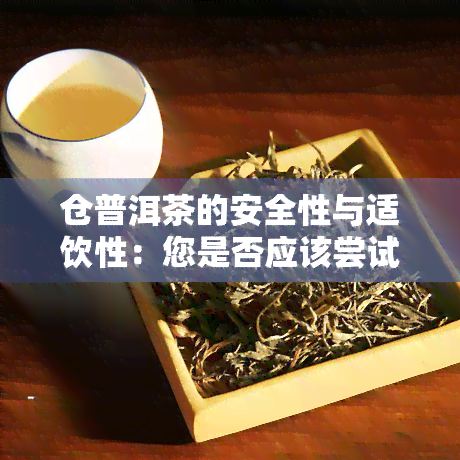 仓普洱茶的安全性与适饮性：您是否应该尝试？