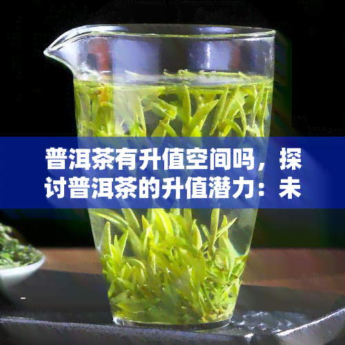 普洱茶有升值空间吗，探讨普洱茶的升值潜力：未来是否有望增值？