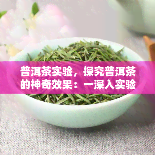 普洱茶实验，探究普洱茶的神奇效果：一深入实验的结果