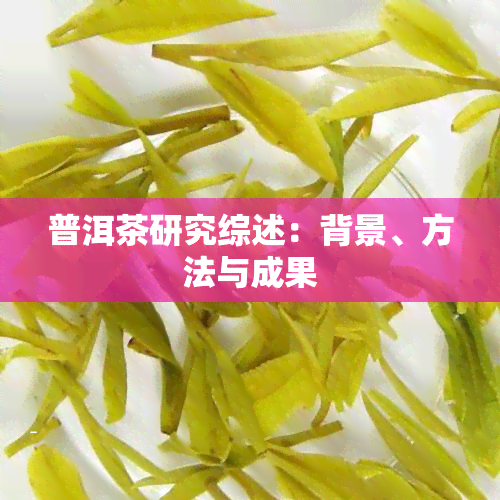 普洱茶研究综述：背景、方法与成果