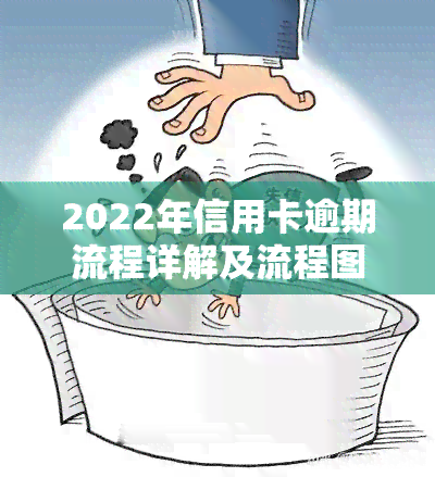 2022年信用卡逾期流程详解及流程图