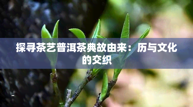 探寻茶艺普洱茶典故由来：历与文化的交织