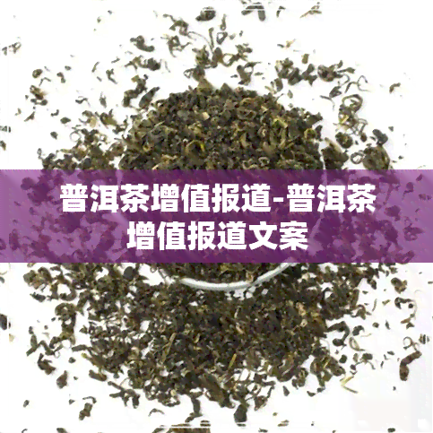 普洱茶增值报道-普洱茶增值报道文案