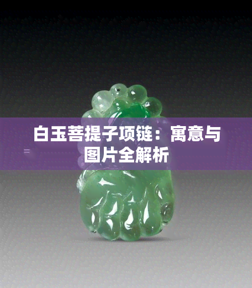 白玉菩提子项链：寓意与图片全解析