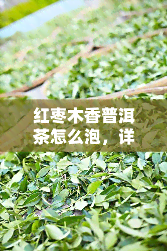 红枣木香普洱茶怎么泡，详细教程：如何冲泡红枣木香普洱茶？