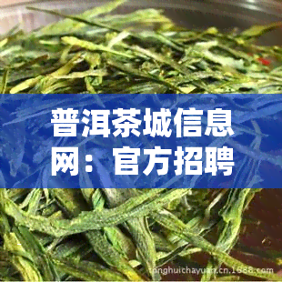 普洱茶城信息网：官方招聘信息发布平台