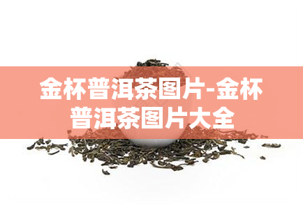 金杯普洱茶图片-金杯普洱茶图片大全