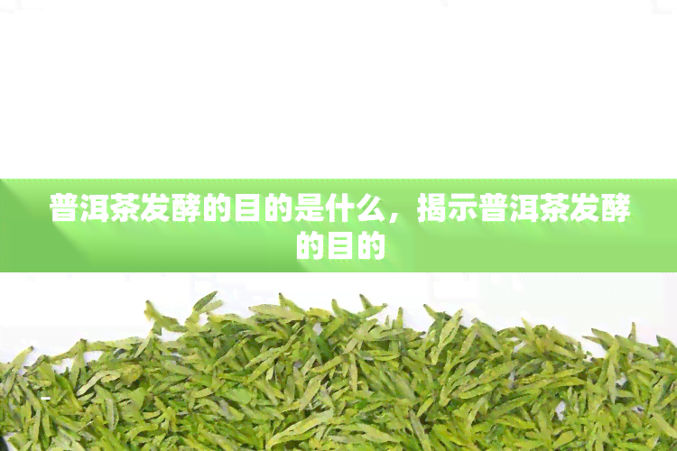 普洱茶发酵的目的是什么，揭示普洱茶发酵的目的