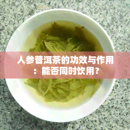 人参普洱茶的功效与作用：能否同时饮用？