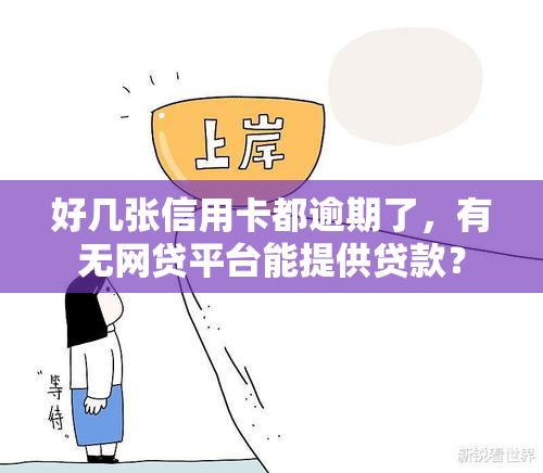 好几张信用卡都逾期了，有无网贷平台能提供贷款？