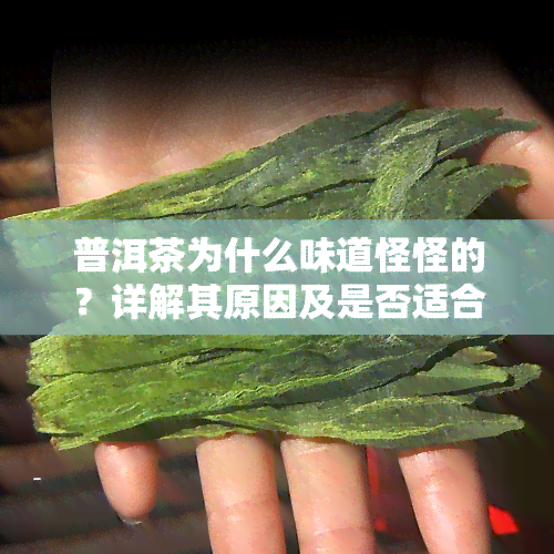 普洱茶为什么味道怪怪的？详解其原因及是否适合饮用