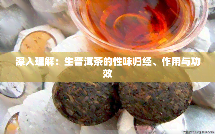 深入理解：生普洱茶的性味归经、作用与功效