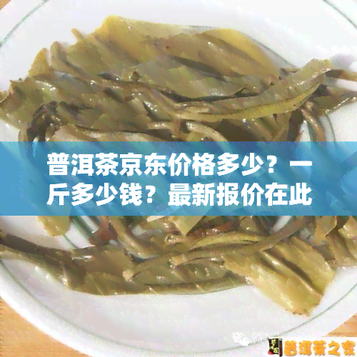 普洱茶京东价格多少？一斤多少钱？最新报价在此！