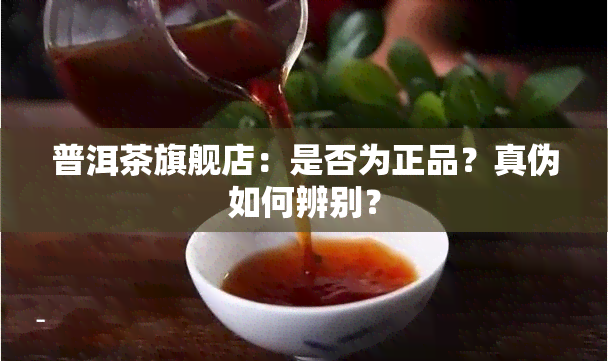 普洱茶旗舰店：是否为正品？真伪如何辨别？