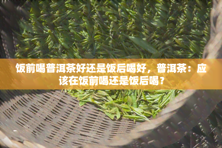 饭前喝普洱茶好还是饭后喝好，普洱茶：应该在饭前喝还是饭后喝？