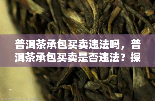 普洱茶承包买卖违法吗，普洱茶承包买卖是否违法？探讨相关法律规定与风险