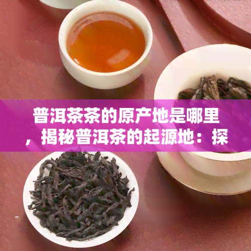 普洱茶茶的原产地是哪里，揭秘普洱茶的起源地：探寻其独特的地理环境与历背景