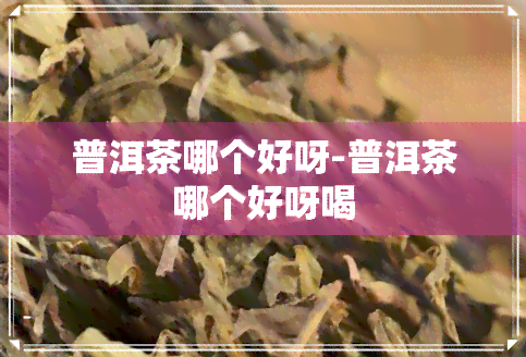 普洱茶哪个好呀-普洱茶哪个好呀喝