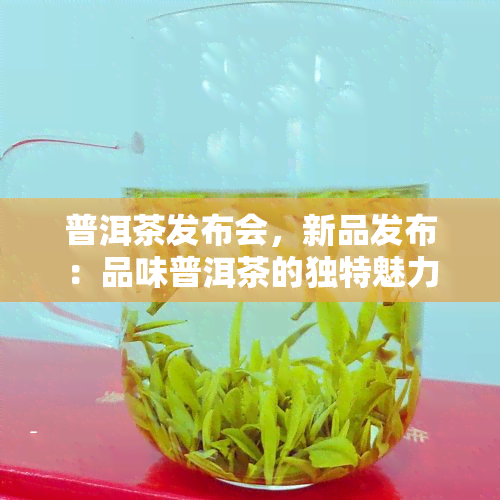 普洱茶发布会，新品发布：品味普洱茶的独特魅力