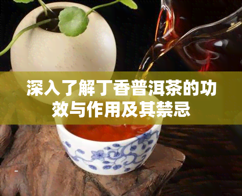 深入了解丁香普洱茶的功效与作用及其禁忌