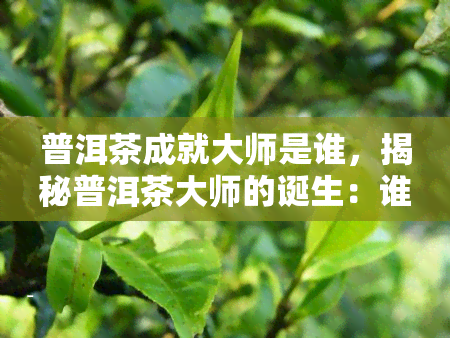 普洱茶成就大师是谁，揭秘普洱茶大师的诞生：谁造就了普洱茶的传奇？