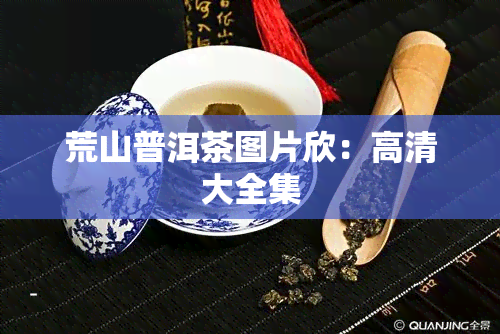 荒山普洱茶图片欣：高清大全集