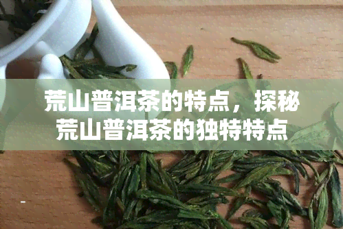 荒山普洱茶的特点，探秘荒山普洱茶的独特特点