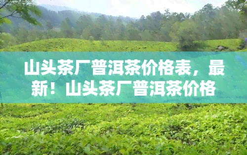 山头茶厂普洱茶价格表，最新！山头茶厂普洱茶价格表一览